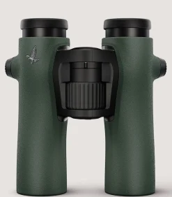 Swarovski Nl 8 X 32 In Green-Purdey Discount